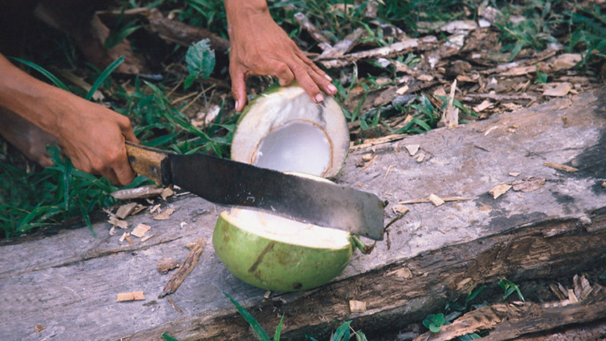 Amazonas Knife