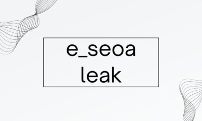 e_seoa leak