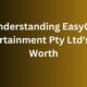 Understanding EasyGo Entertainment Pty Ltd's Net Worth